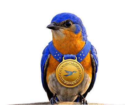 bottom banner right image